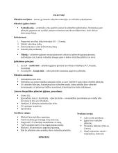 Pilietybė, rinkimai, partijos