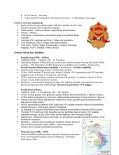 Šaltasis karas 1946 – 1990/91  5 puslapis