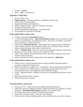 Totalitaristinės valstybės tarpukariu 11 puslapis