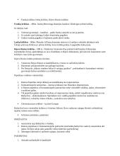 Viduramžių christenizacija