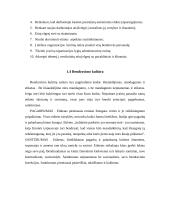 Bendravimo kultūros ir etikos UAB "Baltik Vairas" įvertinimas 8 puslapis