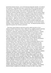 Egzistencinės vienatvės tema (A. Škėma, V. Mačernis) 2 puslapis