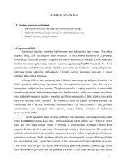 Darbuotojų pasyvumas darbe 3 puslapis