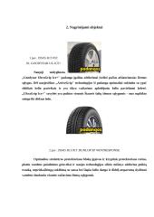 Daugiakriterinės analizės tyrimas: žieminės padangos 5 puslapis