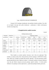 Daugiakriterinės analizės tyrimas: žieminės padangos 7 puslapis