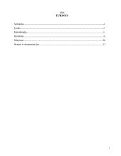 Draudimas rūkyti viešose vietose 2 puslapis