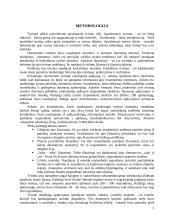 Draudimas rūkyti viešose vietose 6 puslapis