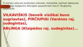 Lietuva antrosios Sovietų Sąjungos okupacijos metais 12 puslapis