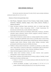 Gimtojo miesto aplinka: Kaunas 11 puslapis