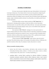 Gimtojo miesto aplinka: Kaunas 13 puslapis