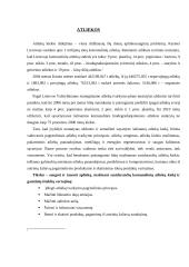 Gimtojo miesto aplinka: Kaunas 3 puslapis