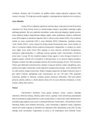 Gimtojo miesto aplinka: Kaunas 6 puslapis