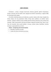 Gimtojo miesto aplinka: Kaunas 9 puslapis