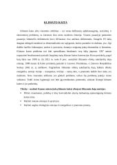 Gimtojo miesto aplinka: Kaunas 10 puslapis