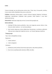 Imigracijos raida Lietuvoje 2 puslapis