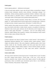 Imigracijos raida Lietuvoje 3 puslapis