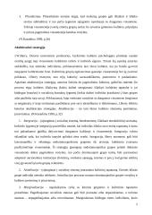 Imigracijos raida Lietuvoje 6 puslapis