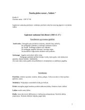 Individualioji ugdymo programa 2 puslapis