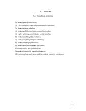 Individualioji ugdymo programa 11 puslapis