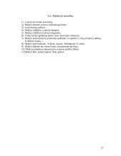 Individualioji ugdymo programa 12 puslapis