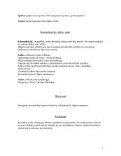 Individualioji ugdymo programa 3 puslapis