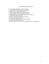 Individualioji ugdymo programa 8 puslapis