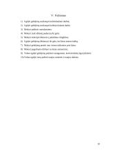 Individualioji ugdymo programa 10 puslapis