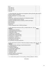 Inovacijos, inovacijų būklės organizacijoje tyrimas 13 puslapis