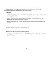 Jaunimo bendruomenės uždarumo problema 4 puslapis