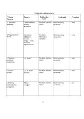 Jaunimo bendruomenės uždarumo problema 5 puslapis