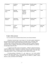 Jaunimo bendruomenės uždarumo problema 6 puslapis