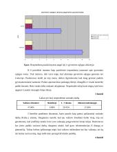 Jaunų žmonių emigracijos priežastys 12 puslapis
