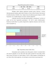 Jaunų žmonių emigracijos priežastys 13 puslapis