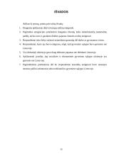 Jaunų žmonių emigracijos priežastys 15 puslapis