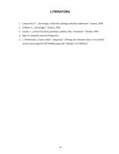 Jaunų žmonių emigracijos priežastys 16 puslapis