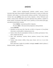 Jaunų žmonių emigracijos priežastys 3 puslapis