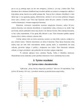 Jaunų žmonių emigracijos priežastys 6 puslapis