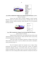 Kaimo žmonių kompiuterinis raštingumas. Skaitmeninė atskirtis 16 puslapis
