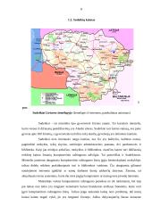 Kaimo žmonių kompiuterinis raštingumas. Skaitmeninė atskirtis 8 puslapis