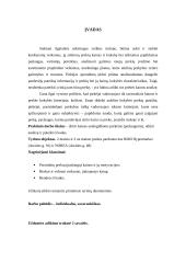 Kainos tyrimas ir analizė prekių (paslaugų) rinkoje 2 puslapis