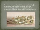 Cheminis elementas kadmis 3 puslapis