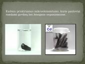 Cheminis elementas kadmis 4 puslapis