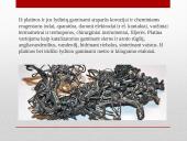 Platina – periodinės elementų lentelės VIII grupės cheminis elementas 4 puslapis