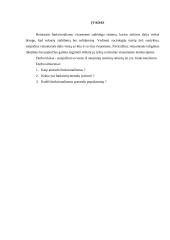 Funkcionalizmas referatas 2 puslapis