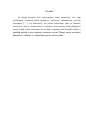 Funkcionalizmas referatas 11 puslapis