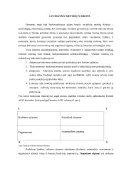 Funkcionalizmas referatas 6 puslapis