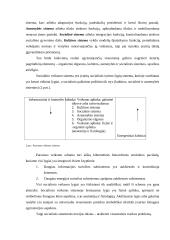 Funkcionalizmas referatas 7 puslapis