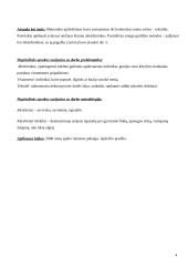 Kauno menininkų-tekstilininkų identitetas 4 puslapis