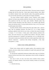 Kauno rajono mokinių užimtumo problema 8 puslapis