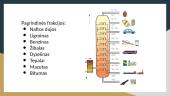 Naftos perdirbimas. Naftos distiliavimo trūkumas 3 puslapis